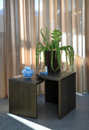 Kombinējamo sānu galdiņu komplekts