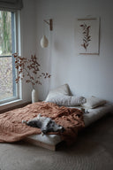 ROOTS 140 Sofa bed