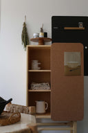 SLIDE CABINET W. PINBOARD